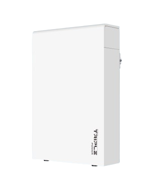 Batteria al litio Solax Triple Power T58 Slave V3 |...