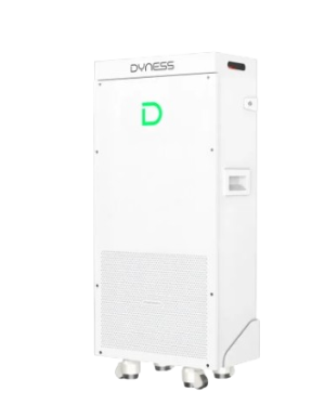 Batteria al litio Dyness PowerBrick Plus 16KWH 48V 51.2V