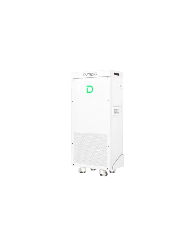 Batterie au lithium Dyness PowerBrick Plus...